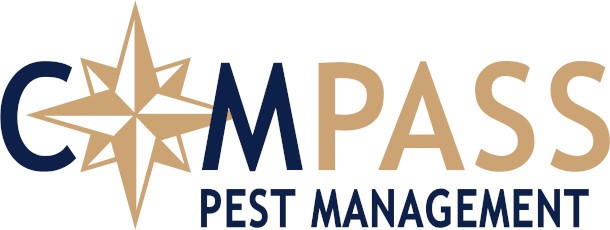Compass-Pest-638f3bfc-439c-4bbc-a54e-536a5ca15680.jpg